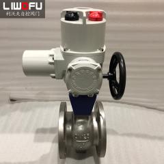 电动荔枝视频下载：智能调控的引擎，驾驭复杂工况的高效选择