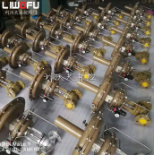 自力式压力荔枝视频下载使用方法